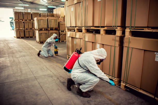 Best Affordable Pest Control Services  in Price, UT