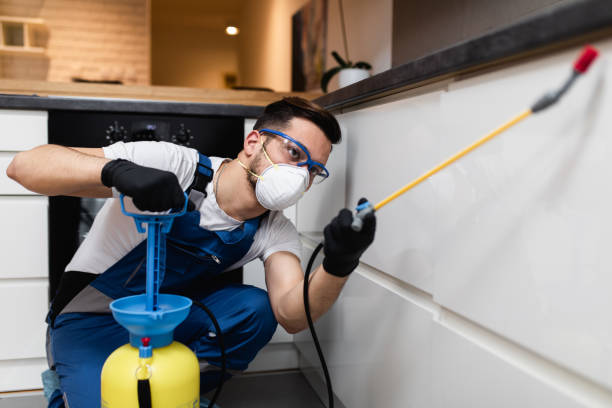 Best Pest Prevention Services  in Price, UT