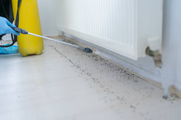 Best Mosquito Control Services  in Price, UT