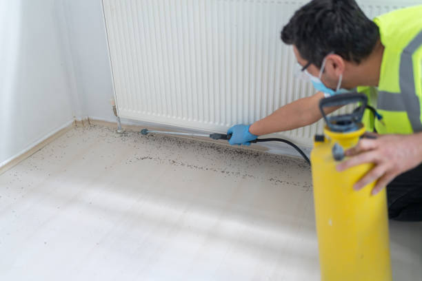 Best Pest Control Near Me  in Price, UT