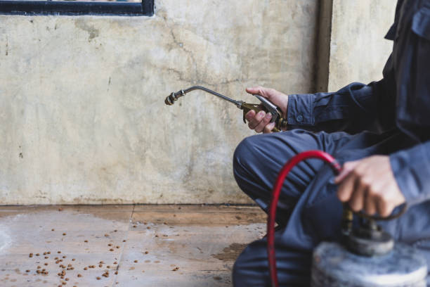 Best Cockroach Control Services  in Price, UT